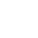 globe icon