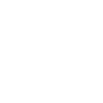 globe icon