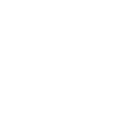 lightning icon