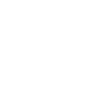 lightning icon