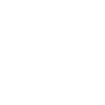 Pie chart icon